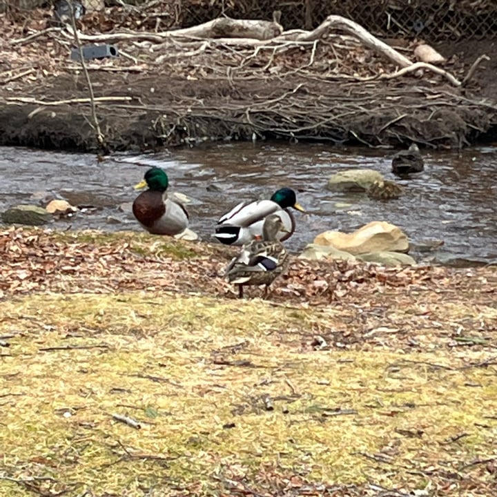photo shared by @juliachavy on  21 Mar 2023 - post
