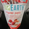 Yum Earth Organic Gummy Fruits