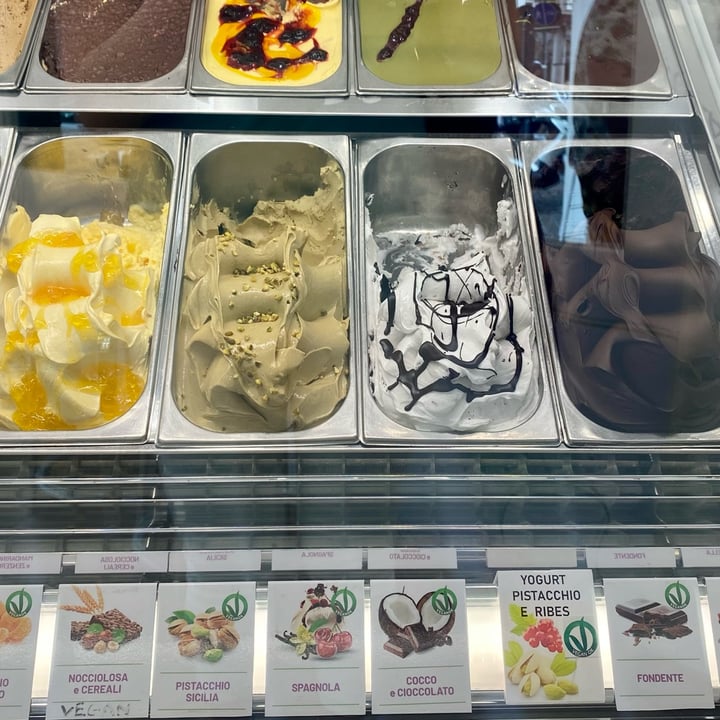 photo of Malù Gelateria Yogurteria Gelato Yogurt Pistacchio e Ribes shared by @tsarinaveg on  09 Jun 2023 - review