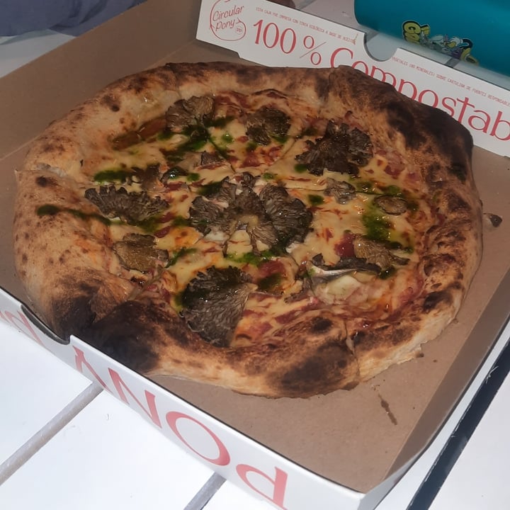 photo of PONY PIZZA Belgrano Pizza Fungi shared by @marleneriolo on  10 May 2023 - review