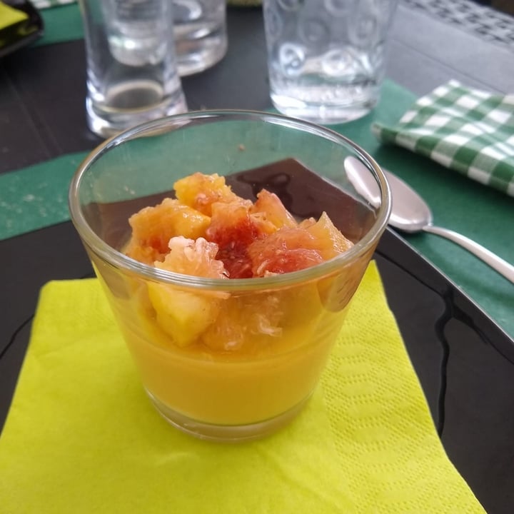 photo of Cibo Ristorante Vegano budino esotico shared by @enrybluveg on  25 Jul 2023 - review