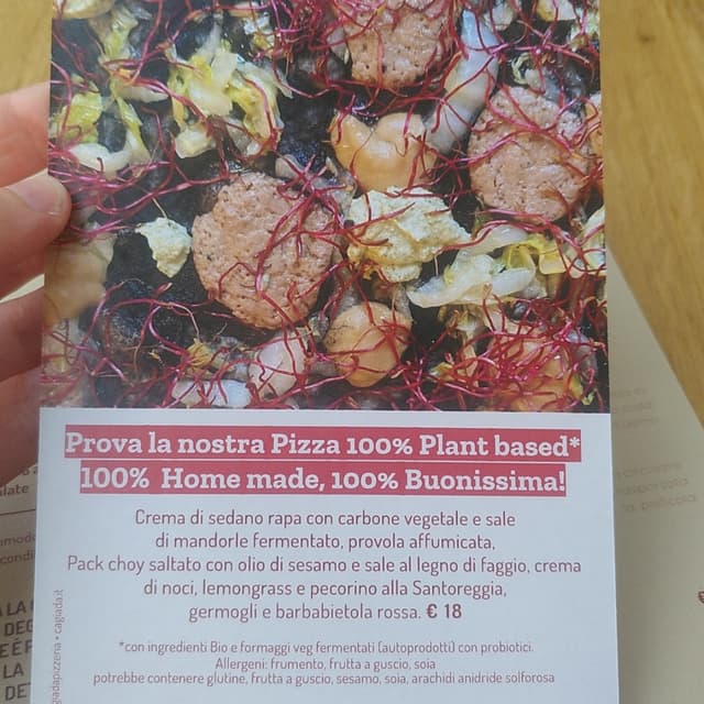 Photo of the dish “Pizza 100% plantbased homemade stagionale”