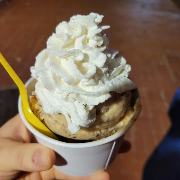 photo of MELT Ice Creams - Sundance Peanut Butter Explosion Ice Cream shared by @strawberrycupcake on  25 May 2023 - review