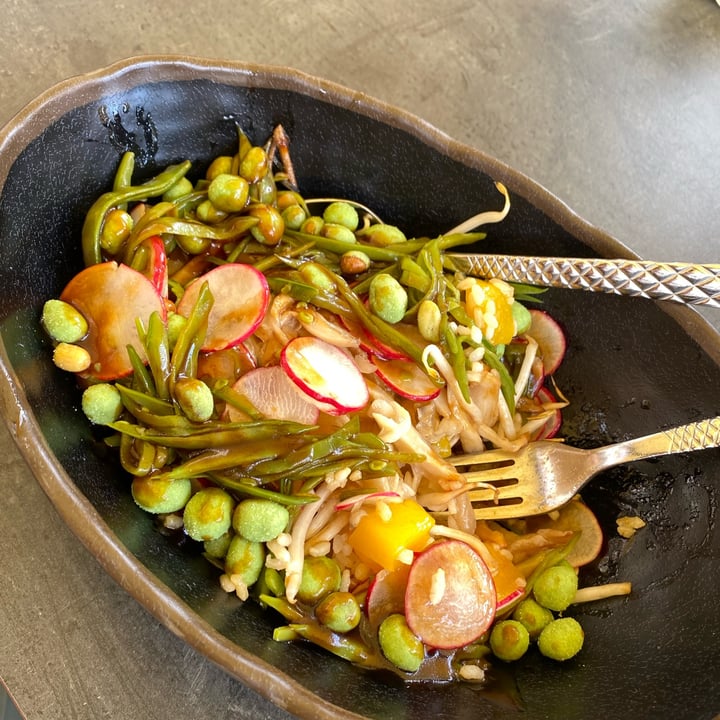 photo of Goldner Hirsch Asia Bowl shared by @calicanto on  13 Aug 2023 - review