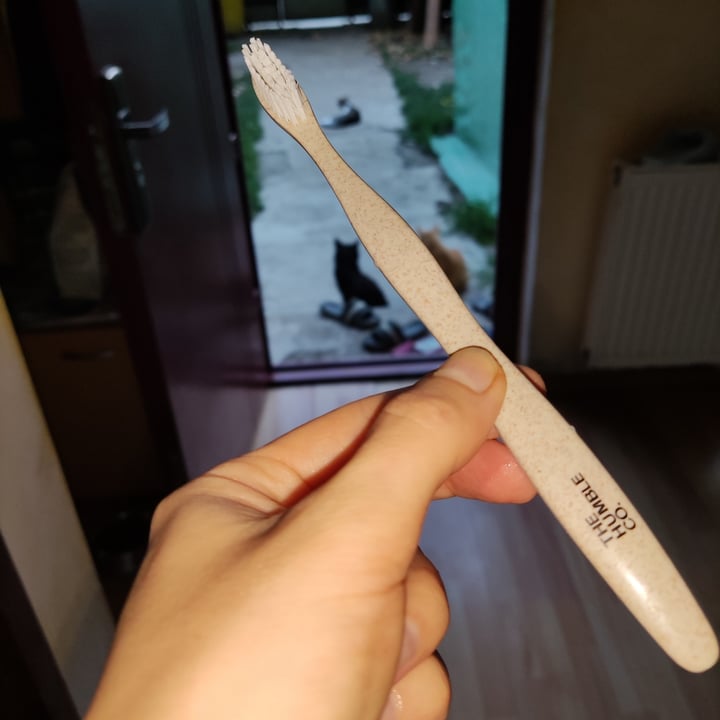 photo of The Humble Co. corn Starch Toothbrush shared by @goe on  02 Jul 2023 - review