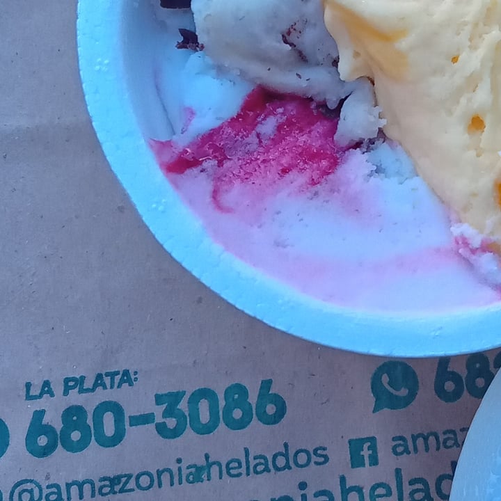 photo of Amazonia helados Saludables Frutilla A La Crema shared by @veganicz on  02 Jan 2023 - review
