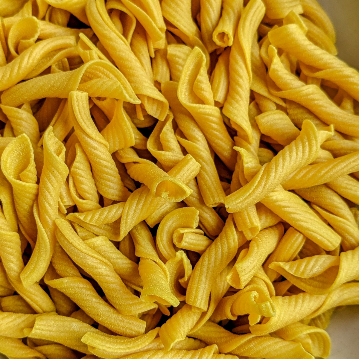 Trader Joe's Organic Lemon Torchietti Pasta Reviews abillion