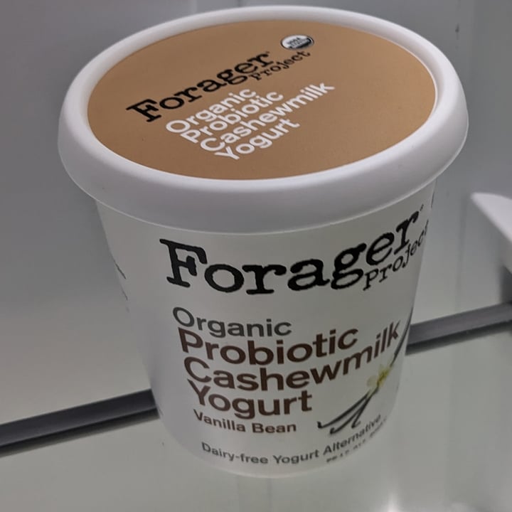 photo of Forager Project Organic cashew yogurt Vanilla bean shared by @iheartanimals on  22 Jul 2023 - review