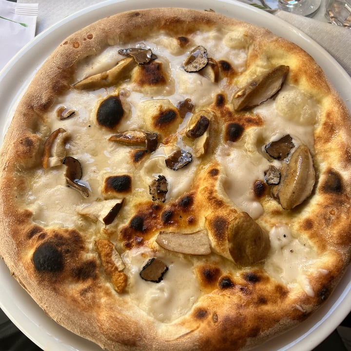 photo of La Taverna di Pulcinella pizza strachicco tartufo e porcini shared by @moccymoccy on  26 Jul 2023 - review