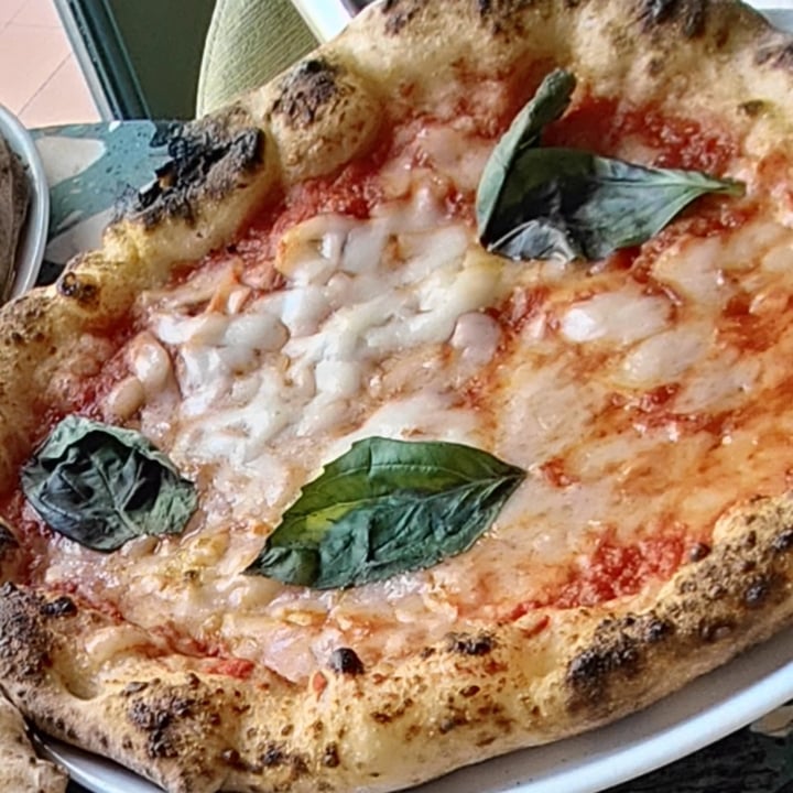 photo of Purezza - Vegan Pizza Camden The Margherita One shared by @ohrenje on  29 Apr 2023 - review