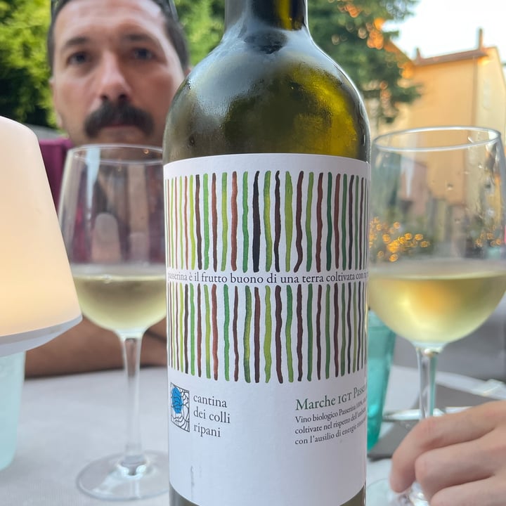 photo of Cantina dei colli ripani Marche IGT Passerina shared by @chezblanchette on  15 Aug 2023 - review
