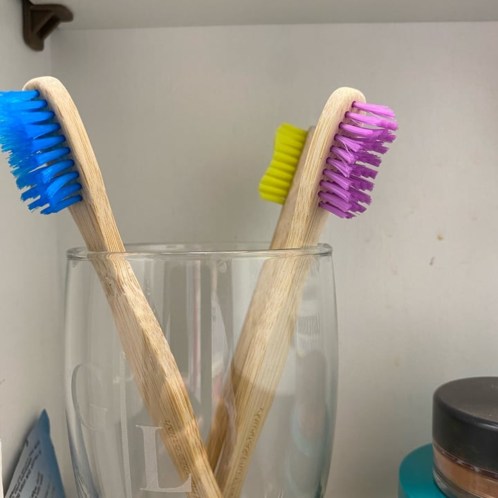 photo of The Humble Co. Bamboo toothbrush 5-pack shared by @buffaloveg on  15 Jul 2023 - review