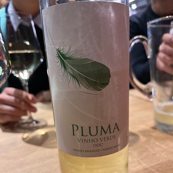 photo of Pluma vinho verde vinho verde shared by @rebeljana on  09 May 2023 - review