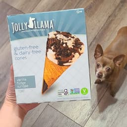 Jolly Llama