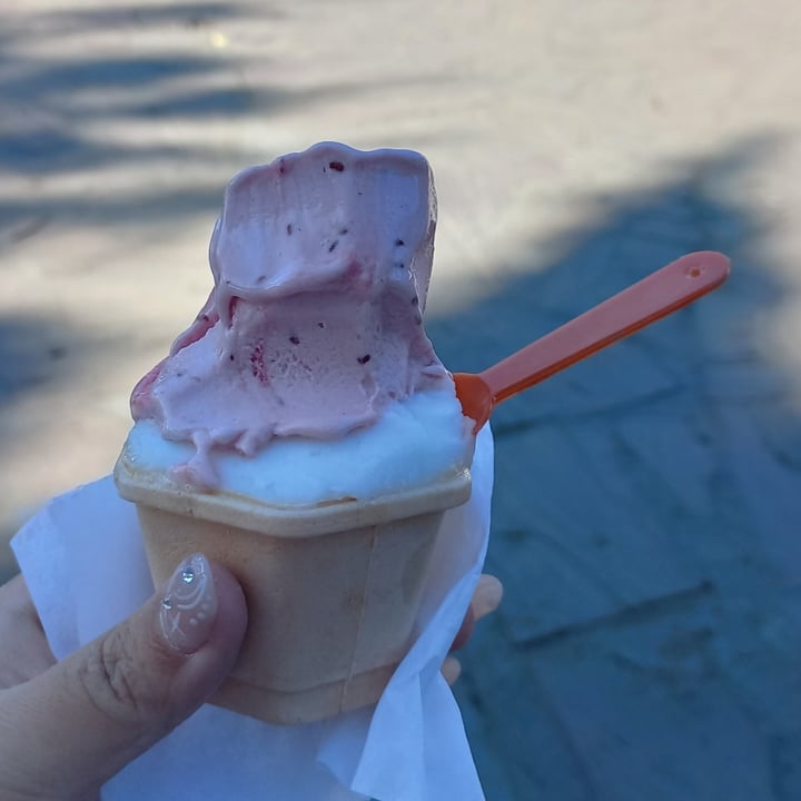 photo of Helados Jauja S.A. Helado shared by @soolrzo on  30 Jul 2023 - review