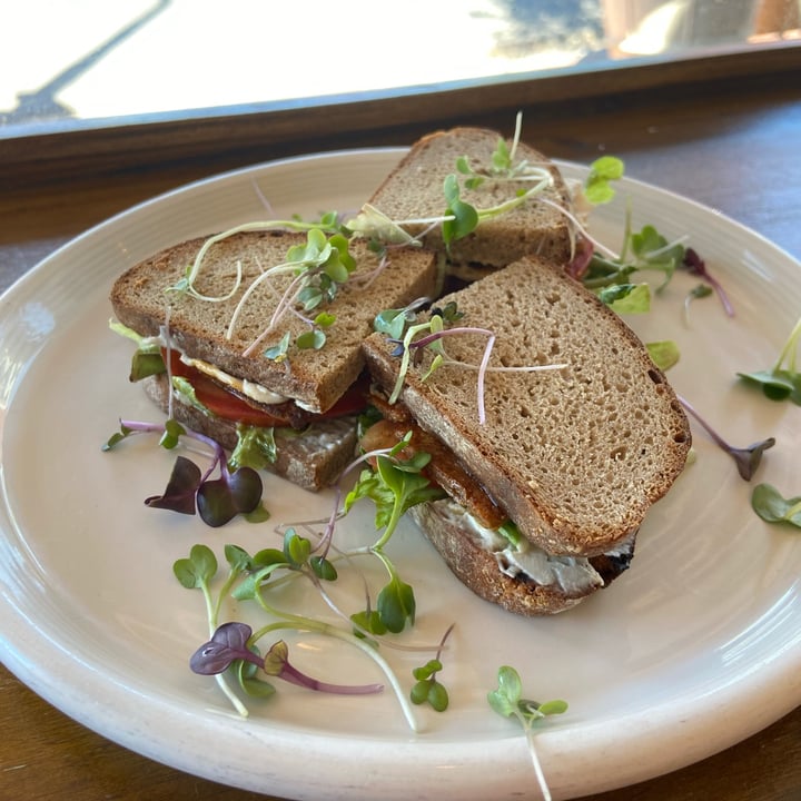 photo of Wildsprout Vegan BLT shared by @joshbenjamin on  19 Jan 2023 - review