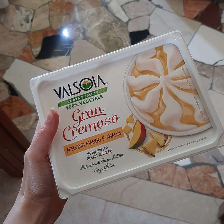 photo of Valsoia Gelato affogato mango ananas shared by @cillafiore on  18 Jun 2023 - review