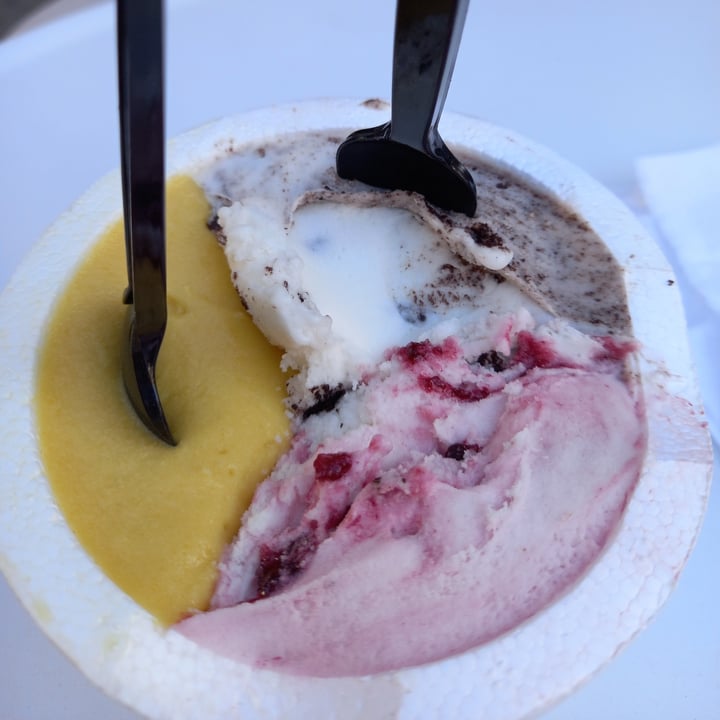 photo of Occo Helados 1/4 shared by @maiagavranic on  05 May 2023 - review