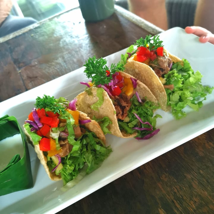 photo of Little Garden Yogyakarta Vegan Tacos shared by @angelajelita on  29 Dec 2022 - review