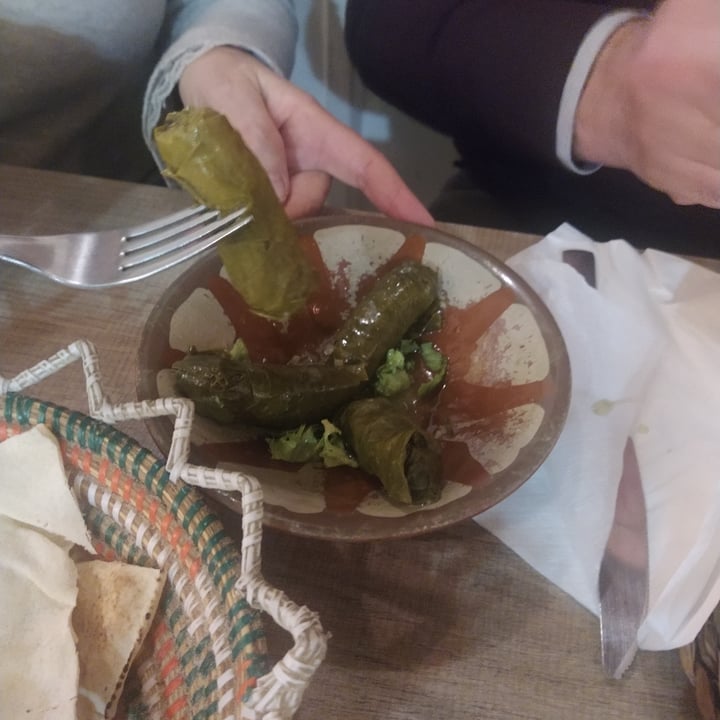 photo of Hommus - Snack Libanese warak enab (foglie di vite ripiene di riso) shared by @chiaracappellini on  16 Feb 2023 - review