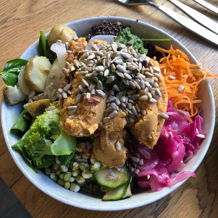 photo of Daily pot Vegan Bowl shared by @bessiebean on  21 Apr 2023 - review