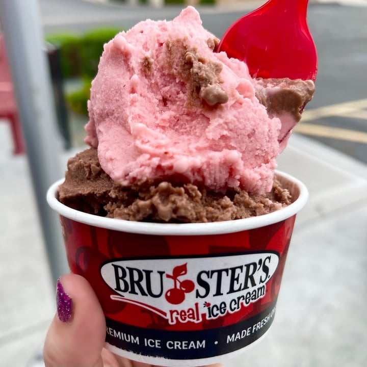 photo of Bruster's Real Ice Cream Vegan Ice Cream shared by @monikitty on  20 Mar 2023 - review