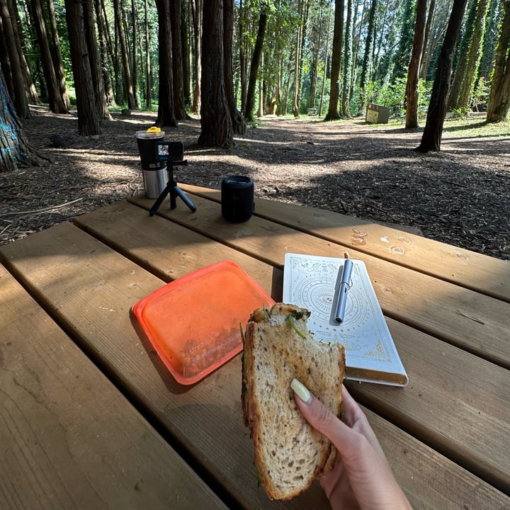 photo of Stasher Sandwich bag shared by @margreen on  10 Jun 2023 - review