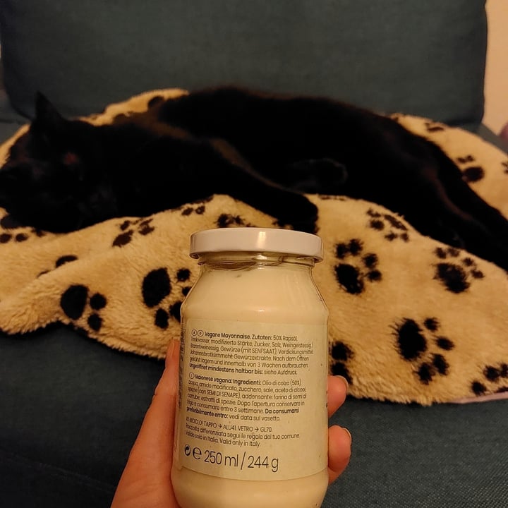 photo of Spak vegane mayo shared by @cloudyaquilegia on  13 Feb 2023 - review