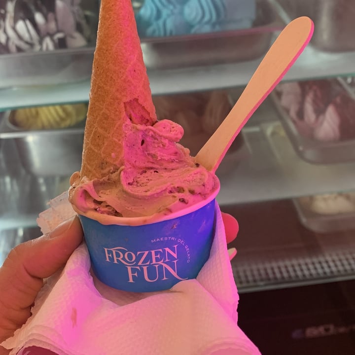 photo of Frozen Fun Gelato Vegan Ice Cream shared by @scientific-diva on  20 Jan 2023 - review