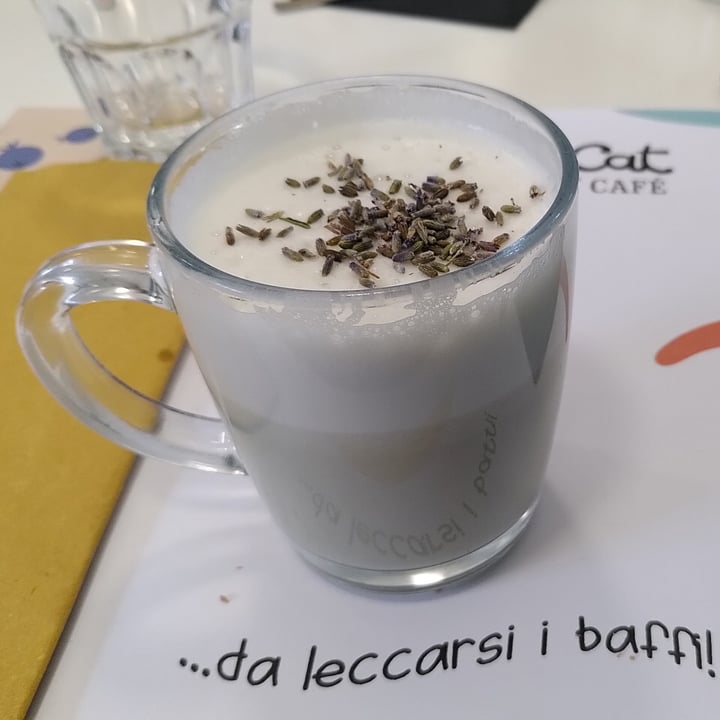 photo of Crazy Cat Café lavander latte shared by @merry-cherry-veg on  25 Jan 2023 - review
