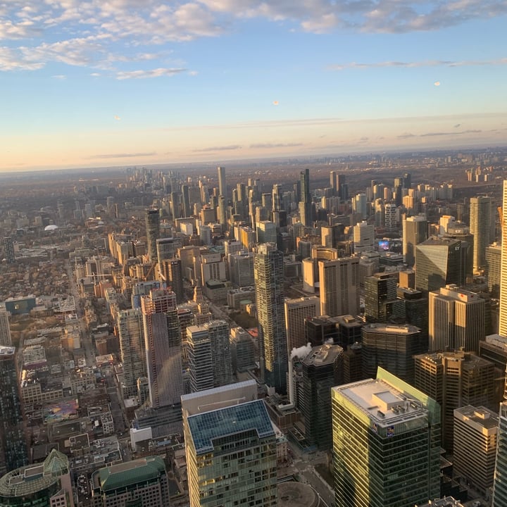 photo of 360 The Restaurant at the CN Tower Chickpea Frites shared by @vegandidsystem on  03 Apr 2023 - review