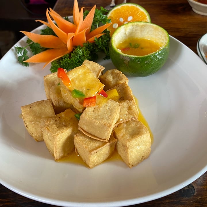 photo of Shamballa Vegetarian Restaurant & Tea House Orange tofu shared by @thecherryhoang on  05 Jan 2023 - review