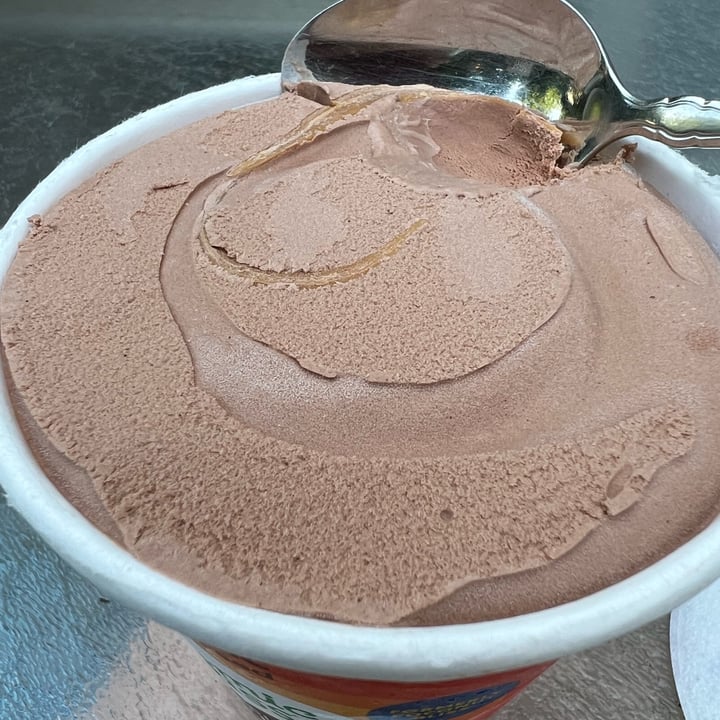 photo of Cosmic Bliss chocolate peanut butter plant-based ice cream shared by @katiewink on  14 Jun 2023 - review