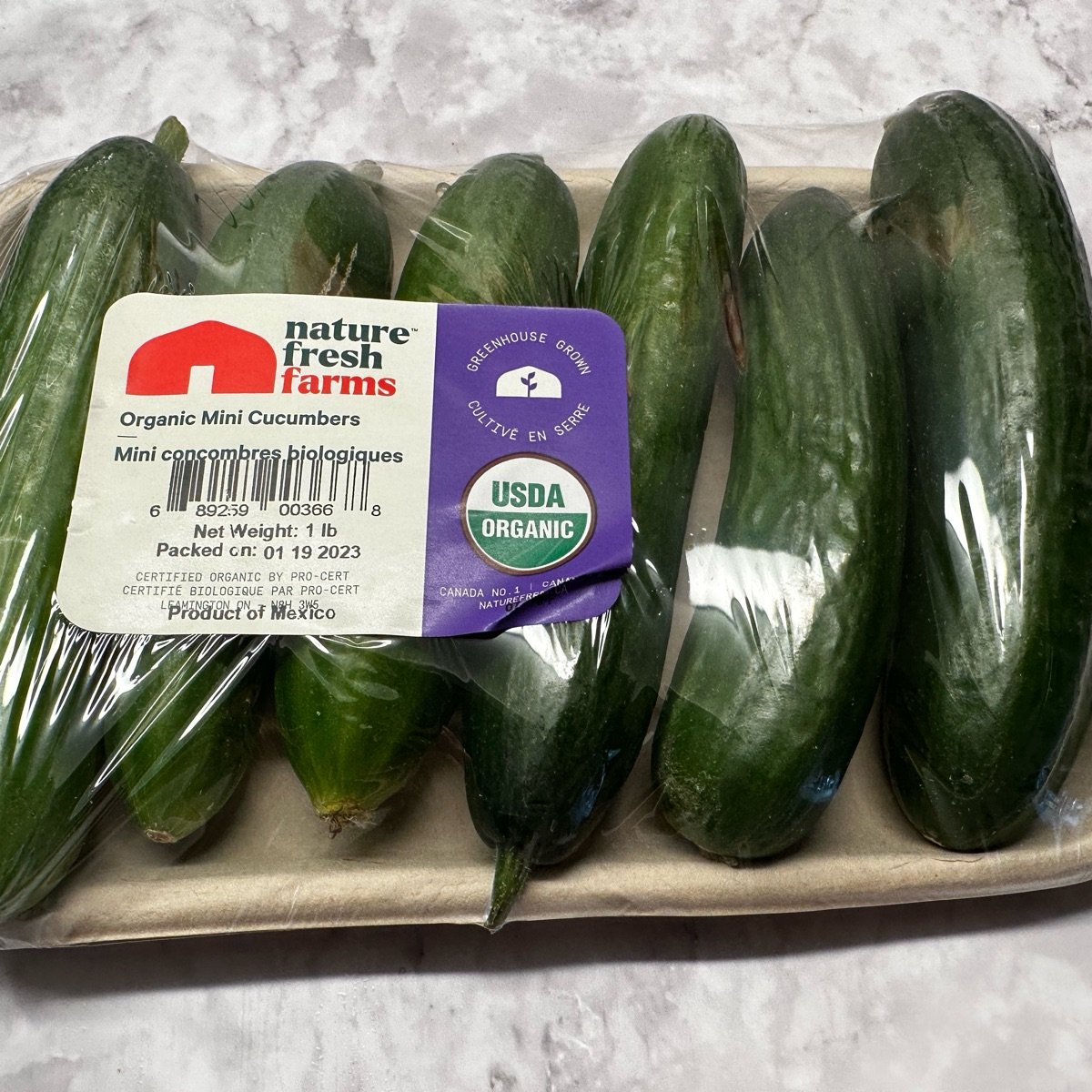Fresh Mini Cucumbers