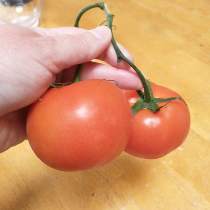 photo of Wildberries Marketplace Vine Tomatoes shared by @forestnymph on  05 May 2023 - review