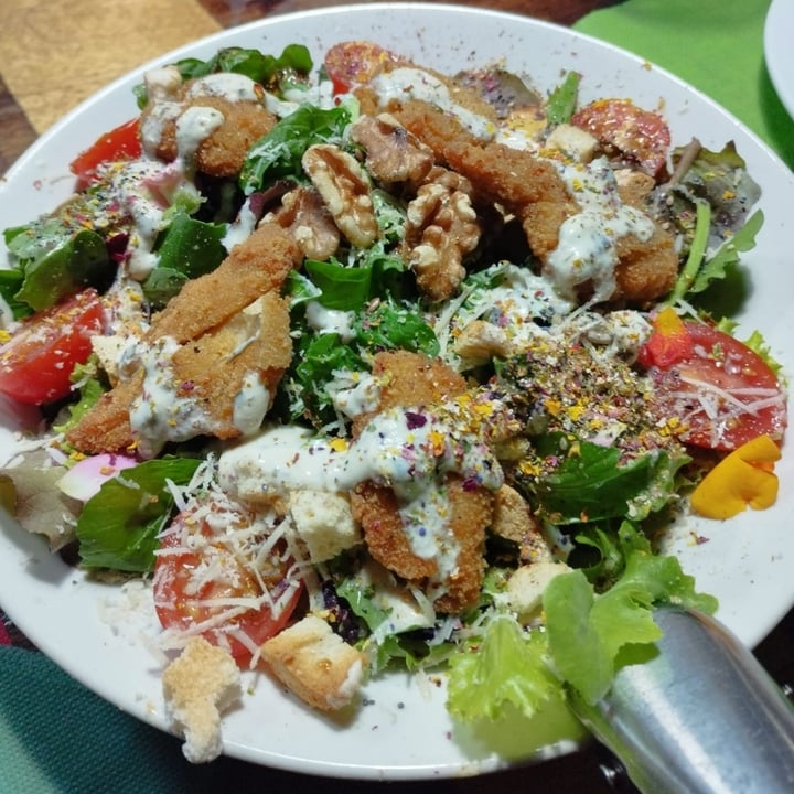 photo of El Invernadero Restaurante Ensalada cesar shared by @danielgl on  11 Mar 2023 - review