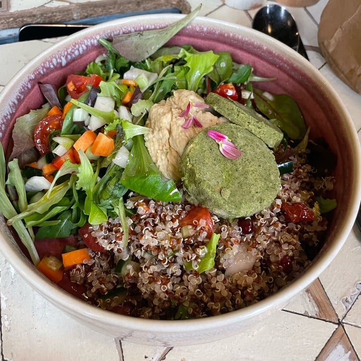 photo of Soulgreen Japanese bowl shared by @elisatosi on  15 Jan 2023 - review