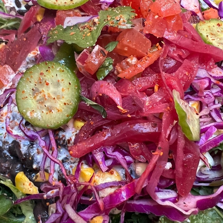 photo of Honest Greens Serrano Latin Lover shared by @carolveg77 on  09 Apr 2023 - review