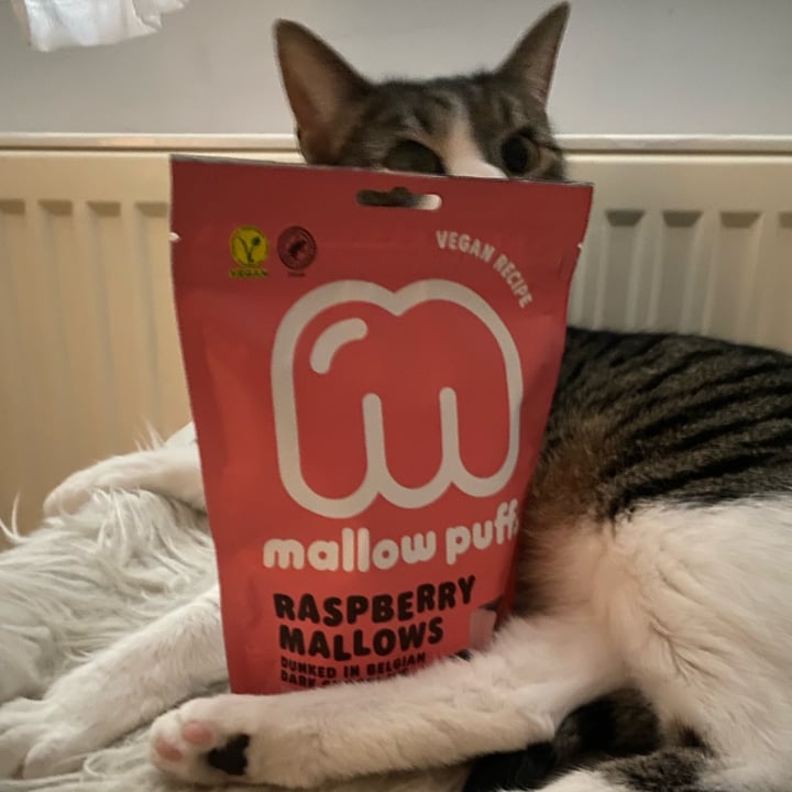 photo of Mallow puffs Raspberry Mallows in Dark Chocolate shared by @trixi on  03 Feb 2023 - review