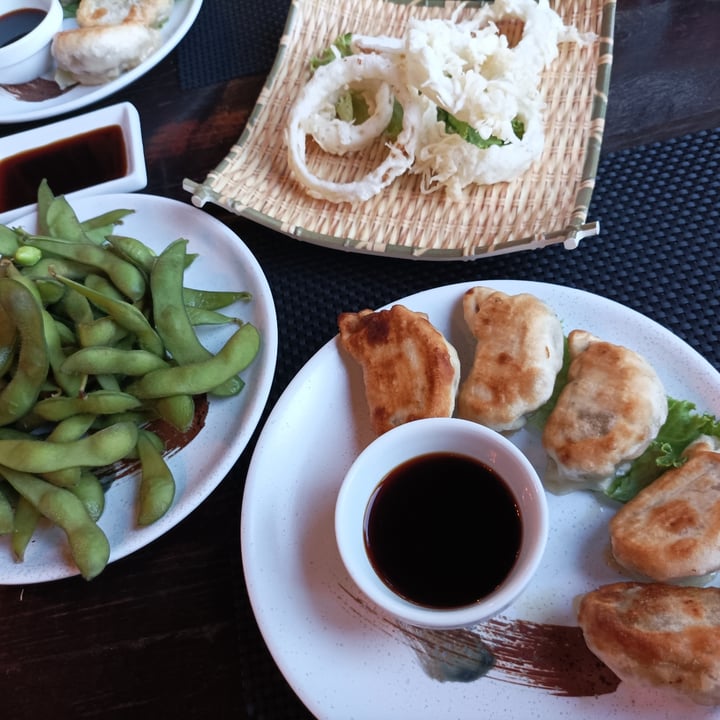 photo of Tsuki sushi restaurant Gyoza Verdure shared by @elisaeffeerre on  07 Jul 2023 - review