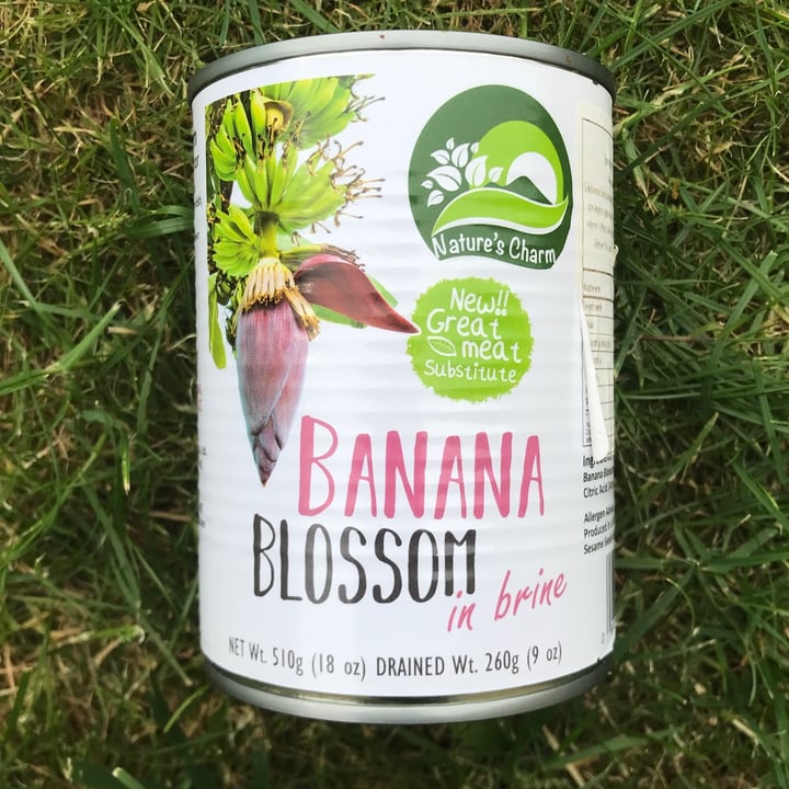 photo of Nature's Charm Banana blossom in brine shared by @eml on  12 Jun 2023 - review