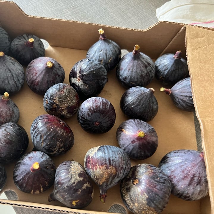 photo of The Figary figs shared by @bianca1701 on  08 Feb 2023 - review