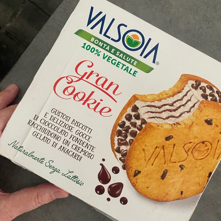 photo of Valsoia Biscotto Gelato con gocce di cioccolato shared by @veganfamilyinviaggio on  02 Aug 2023 - review