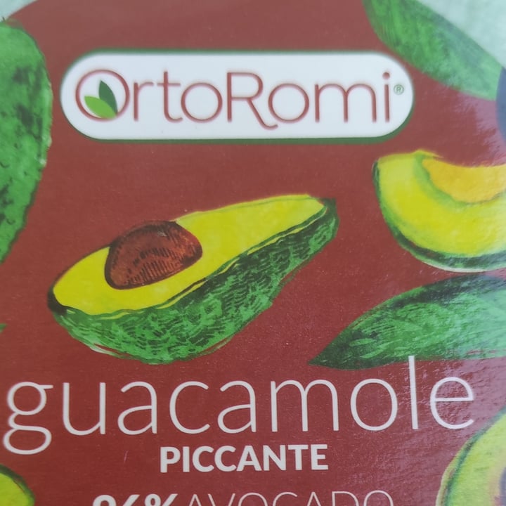 photo of Ortoromi Guacamole Piccante shared by @alessandraaaa on  11 Aug 2023 - review