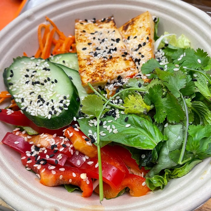 photo of Chef Tanya's Kitchen Tasty Thai Tofu Salad shared by @triciaa on  05 Feb 2023 - review