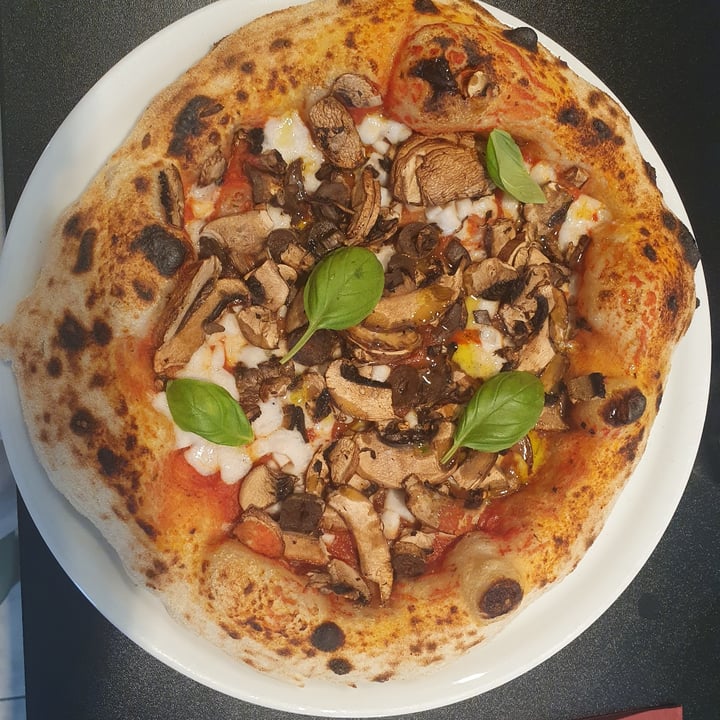 photo of Plant A Pizza Fungi shared by @driesb on  07 Jun 2023 - review