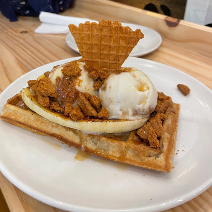 photo of ditto Vegan Ice Cream biscoff waffle shared by @gabriellademartino on  02 Jan 2023 - review