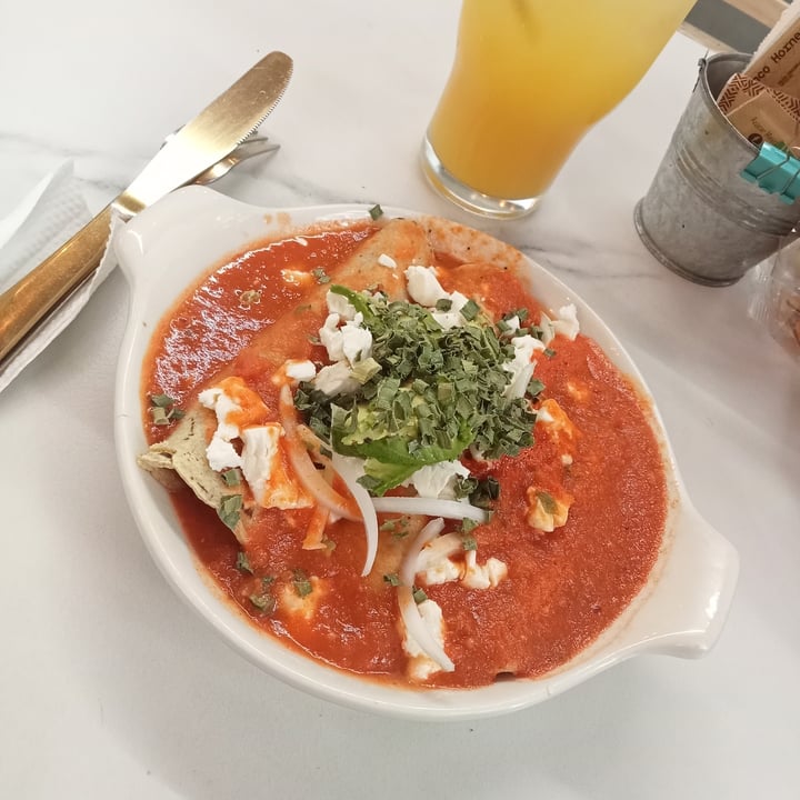 photo of Vainila, healthy & green bar Enchiladas rellenas de hongos con queso vegano shared by @angelicadhays on  11 Jun 2023 - review