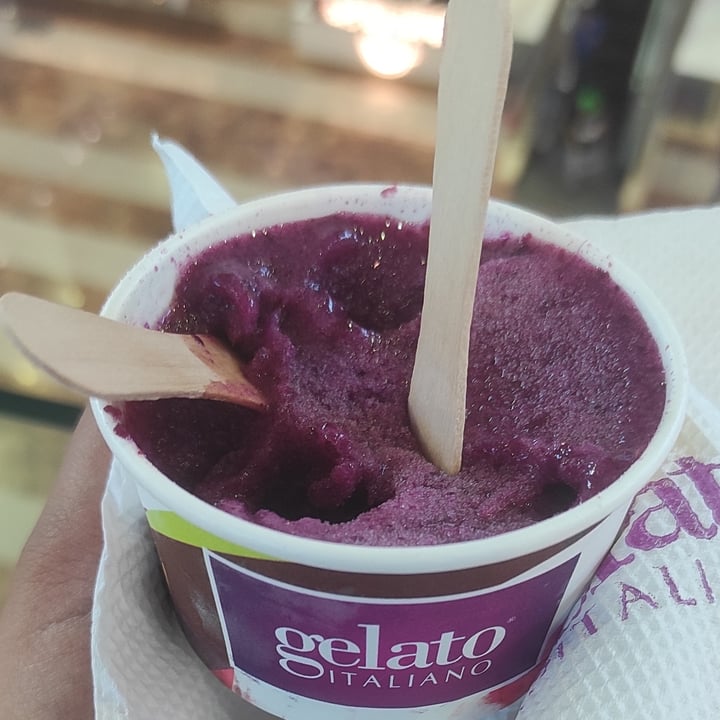 photo of gelato italiano Jamun Sorbet shared by @indianveganstuff on  15 Jun 2023 - review