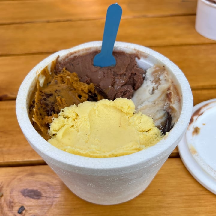 photo of Amazonia Helados Helado De Dulce De Leche shared by @nicorita on  28 Dec 2022 - review